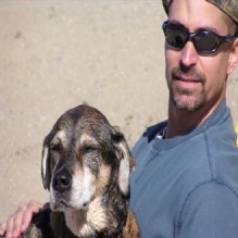 Image for Dogological with ID of: 2370153