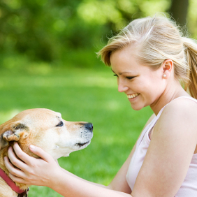 Image for Dogological with ID of: 2370157