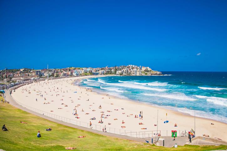 Image for Bondi Beach Business Listing Directory with ID of: 2371823