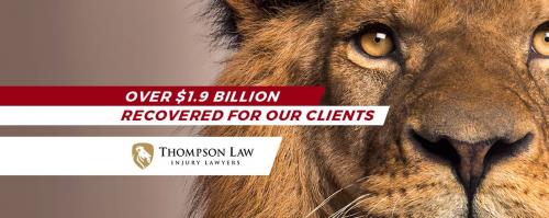 Image for Thompson Law | 1-800-LION-LAW with ID of: 2373469