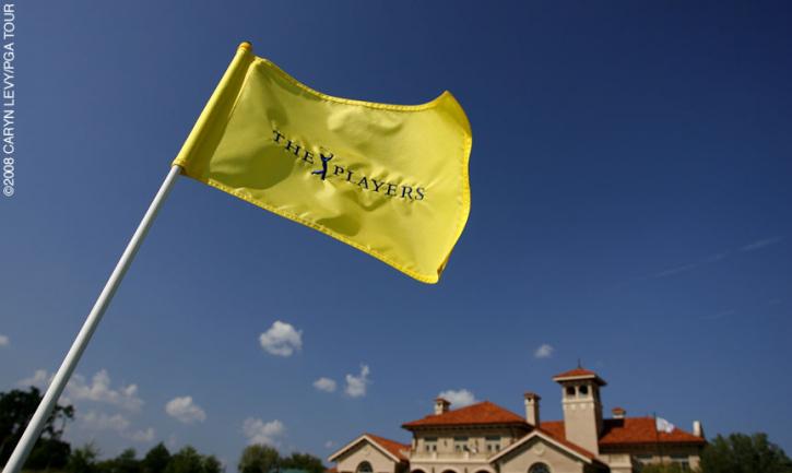Image for The Flag Website with ID of: 2373613