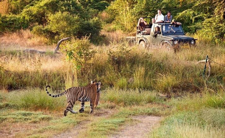 Image for Rajasthan Tour Packages with ID of: 2373948