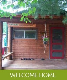 Image for Swift Nature Camp with ID of: 2374295