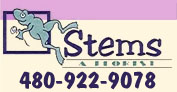 Image for Stems A Florist with ID of: 2374538