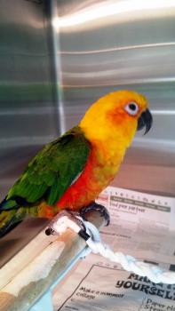 Image for Abel Pet Clinic, Inc. with ID of: 2375192