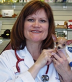 Image for Abel Pet Clinic, Inc. with ID of: 2375193