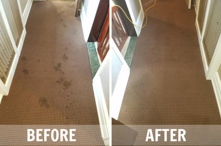 Image for Carpet Cleaning Grosse Pointe with ID of: 2376243