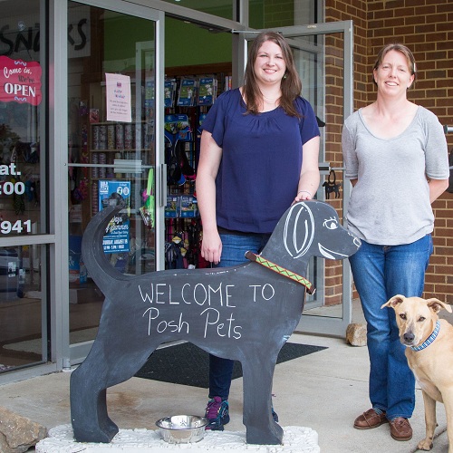 Image for Posh Pets Supply Co with ID of: 2377220