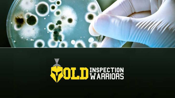 Image for Mold Inspection Warriors with ID of: 2377769