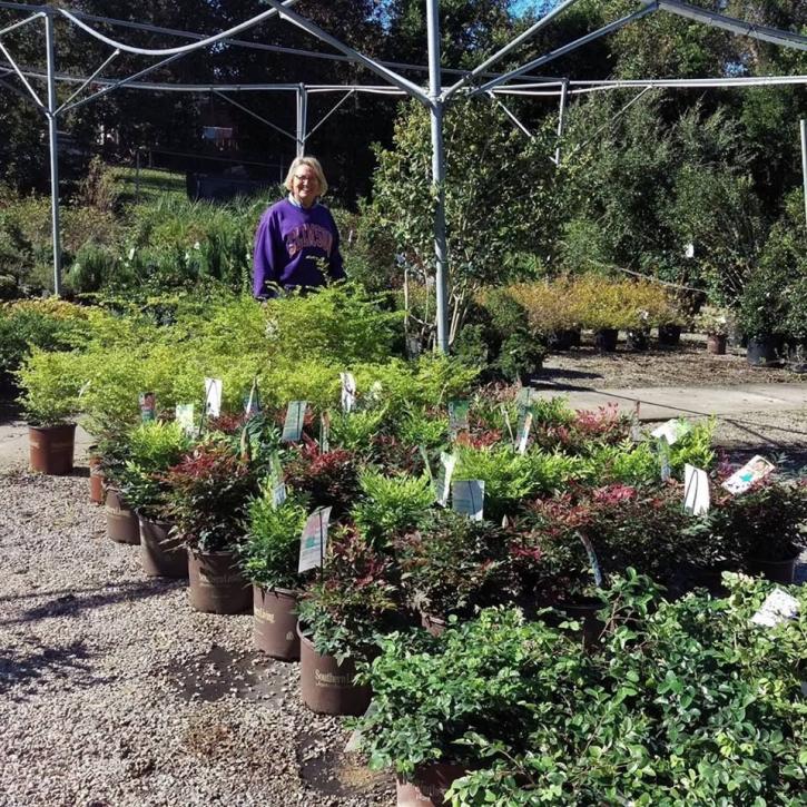 Image for The Plant Depot with ID of: 2378513