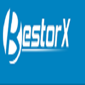 Image for Bestorx Technology Co.LIMITED with ID of: 2378925