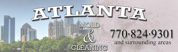 Image for Atlanta Mold and Cleaning with ID of: 2379008