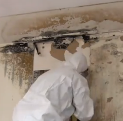 Image for Atlanta Mold and Cleaning with ID of: 2379014