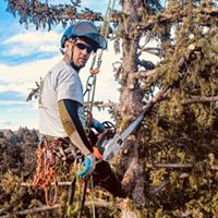 Image for Great Western Tree Care with ID of: 2379072