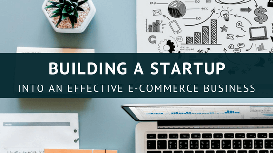Image for A Complete Guide for a Successful eCommerce Business with ID of: 2380009