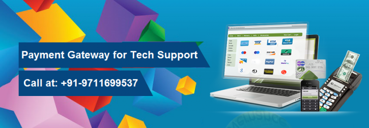 Image for Safe Payment Gateway for Tech Support Business with ID of: 2380229