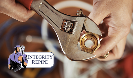 Image for Integrity Repipe with ID of: 2385354