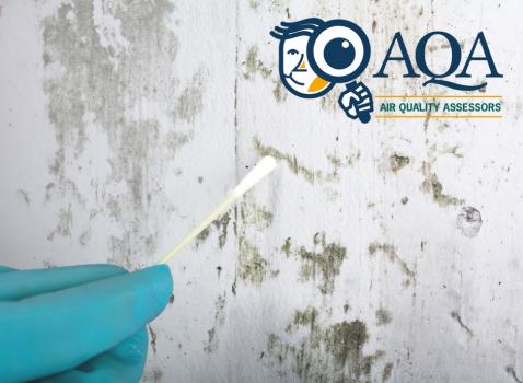 Image for Air Quality Assessors with ID of: 2386308