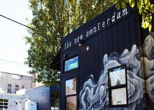 Image for The New Amsterdam with ID of: 2386639