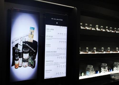 Image for The New Amsterdam with ID of: 2386641