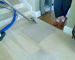 Image for Dr. Carpet with ID of: 2387563