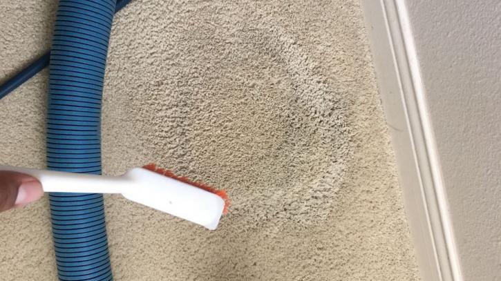 Image for Dr. Carpet with ID of: 2387952