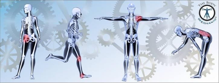 Image for The Body Mechanic with ID of: 2389791