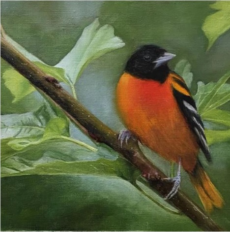Image for Learn to paint birds with ID of: 2391615