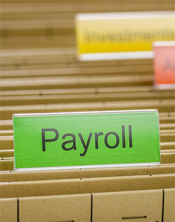 Image for Payroll Service Solutions with ID of: 2392929