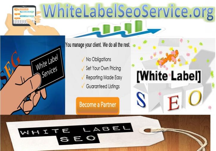 Image for White Label Seo Service with ID of: 2393815