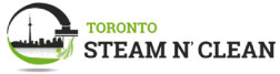 Image for Toronto Steam n’ Clean with ID of: 2394542