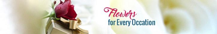 Image for Flowers Delivery with ID of: 2395447