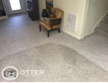 Image for Otter Clean and Restore with ID of: 2395720