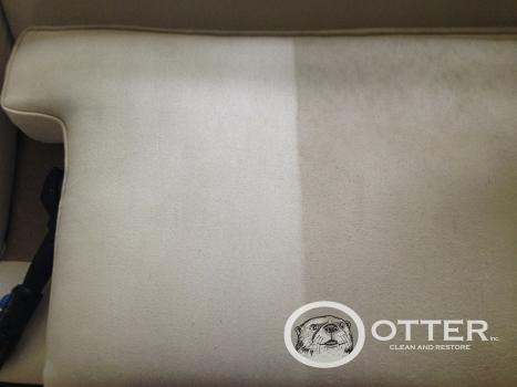 Image for Otter Clean and Restore with ID of: 2395725