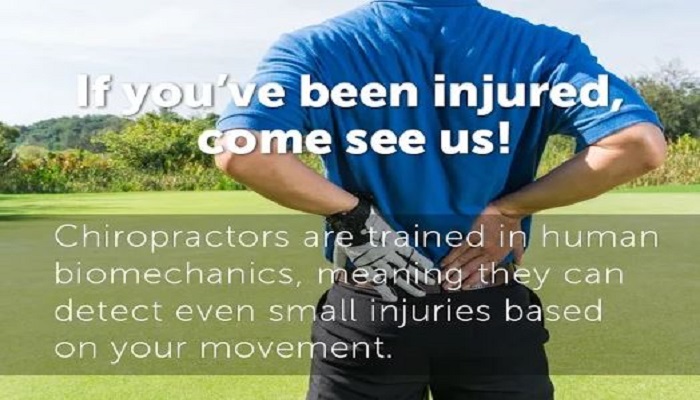 Image for Spinal Dynamics Chiropractic with ID of: 2396950