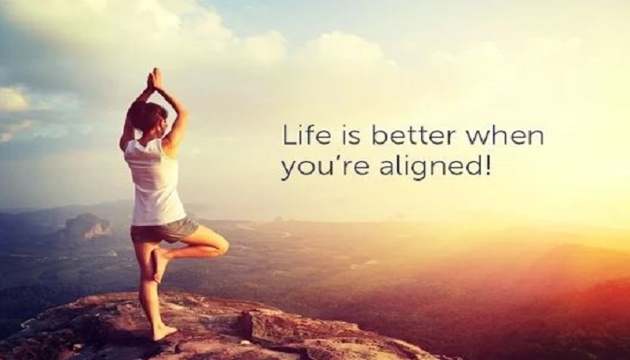 Image for Spinal Dynamics Chiropractic with ID of: 2396951