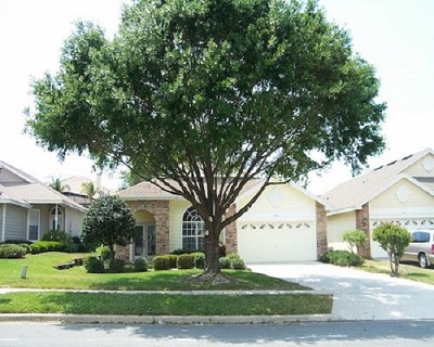 Image for All Pro Tree Services with ID of: 2397743