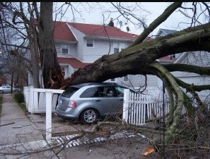 Image for StormGuard Impact Window & Door with ID of: 2399579