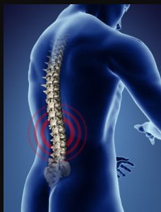 Image for Inner Vitality Chiropractic with ID of: 2399821