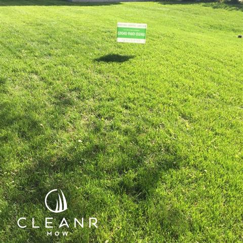 Image for Cleanr Mow with ID of: 2401092