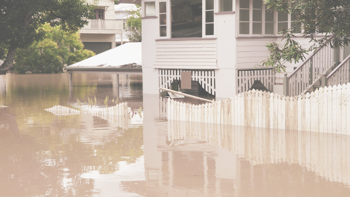 Image for Bi-State Public Adjusters with ID of: 2401219