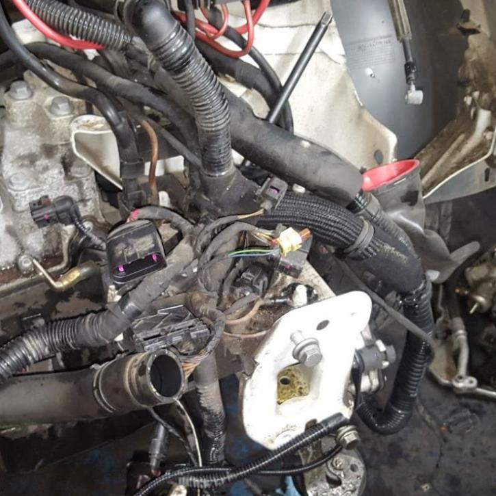 Image for M & D Auto Repair with ID of: 2401999
