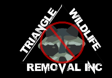 Image for Triangle Wildlife Removal & Pest Control, Inc. with ID of: 2405002
