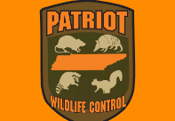 Image for Patriot Wildlife Control with ID of: 2405788