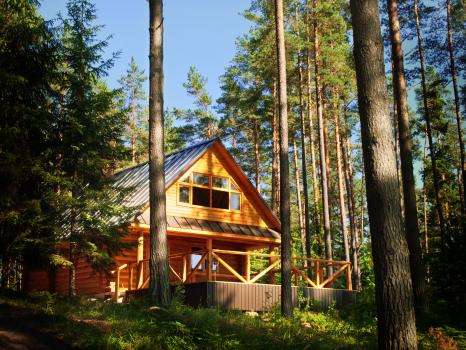 Image for Log & Timber Worx with ID of: 2406777
