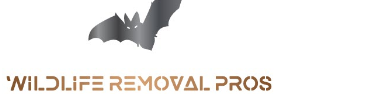 Image for Wildlife Removal Pros with ID of: 2408133