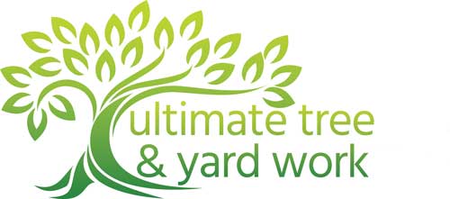 Image for Ultimate Tree and Yard Work with ID of: 2408603