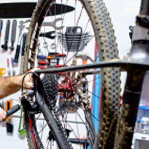 Image for Blue Heron Bicycles with ID of: 2410494