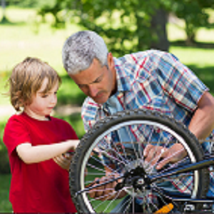 Image for Blue Heron Bicycles with ID of: 2410496