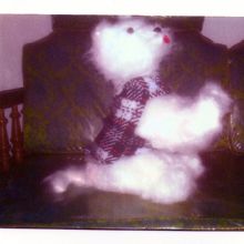 Image for Main Crafts 4U with ID of: 2413208